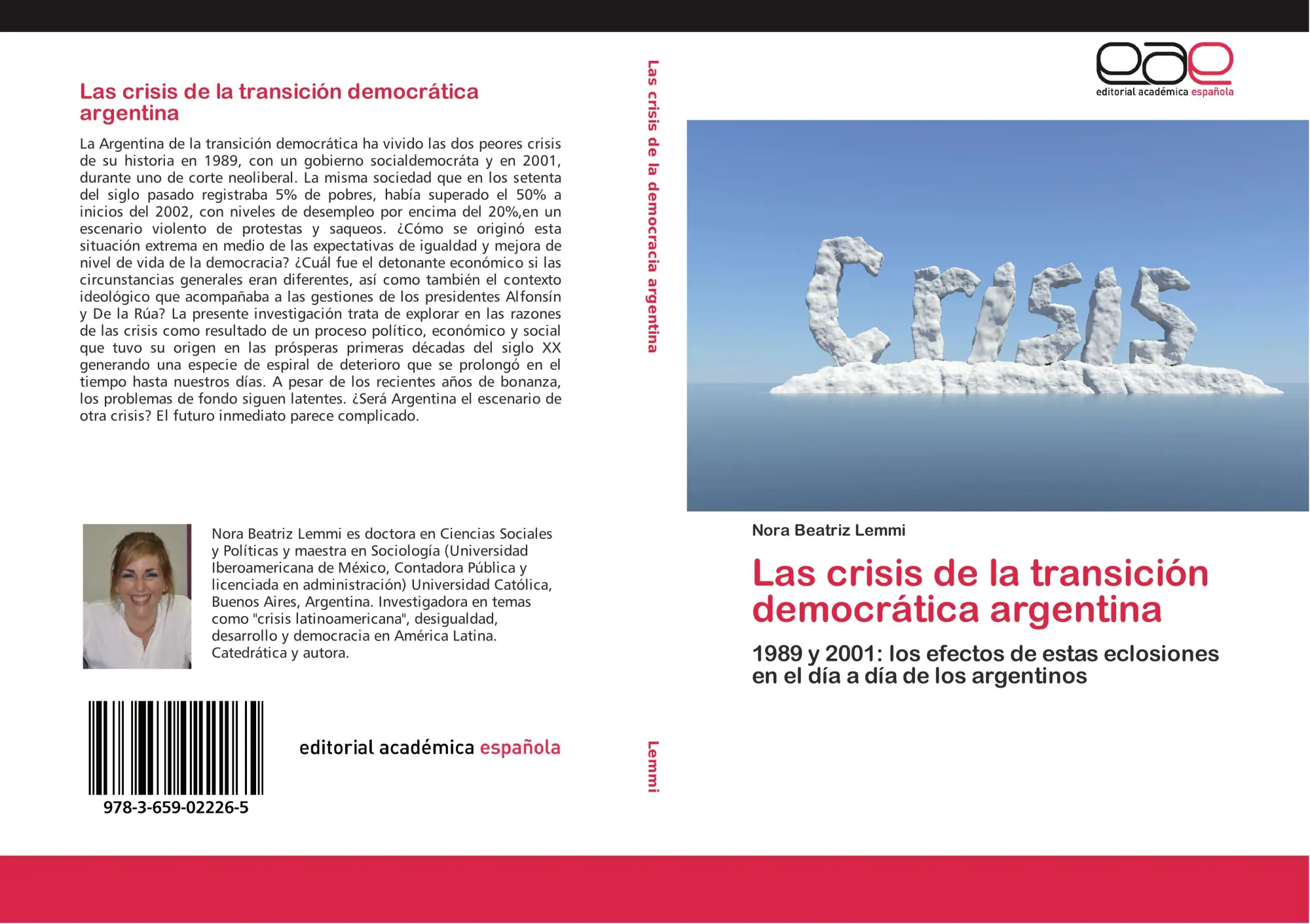 Cover: 9783659022265 | Las crisis de la transición democrática argentina | Nora Beatriz Lemmi