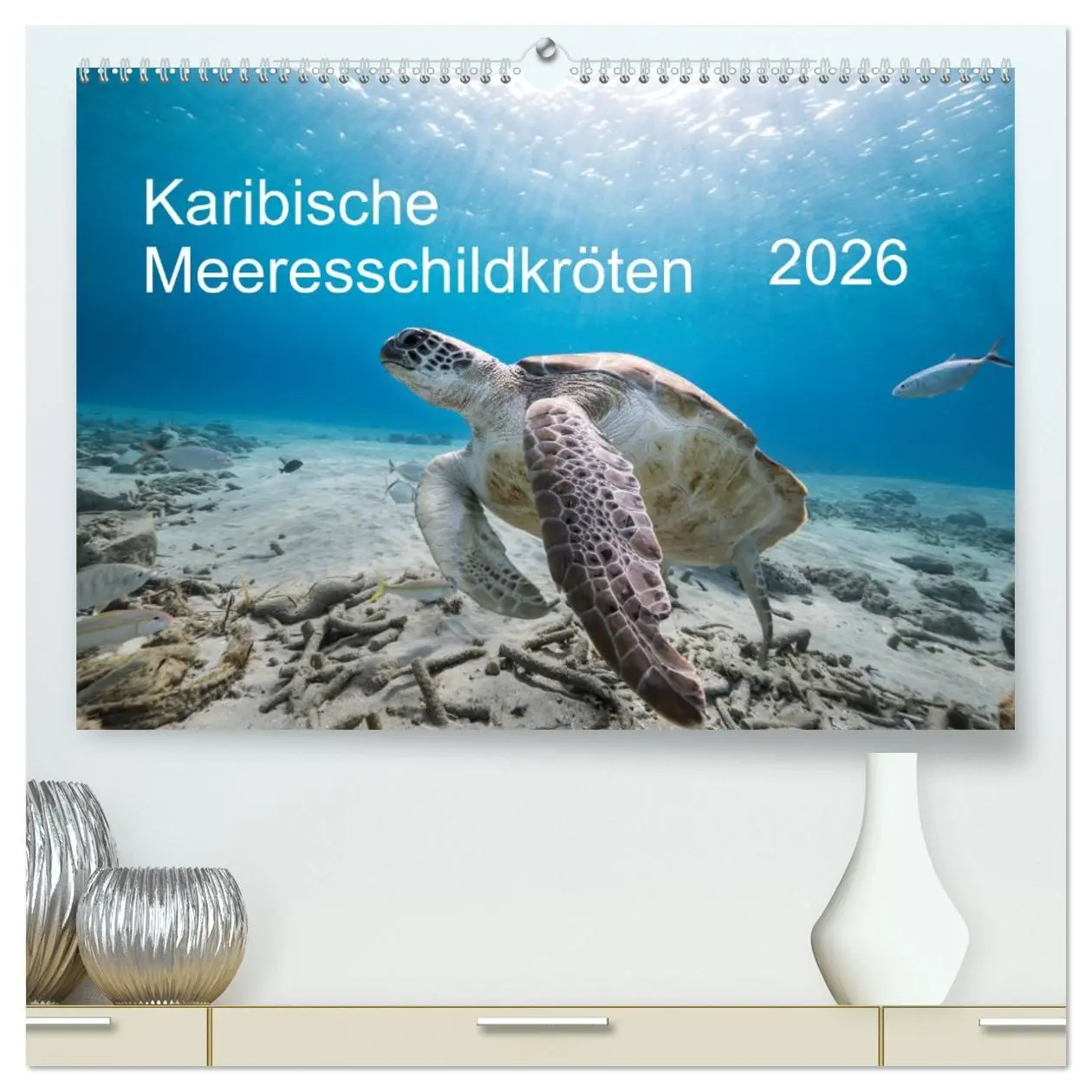 Cover: 9783457732465 | Karibische Meeresschildkröten (hochwertiger Premium Wandkalender...