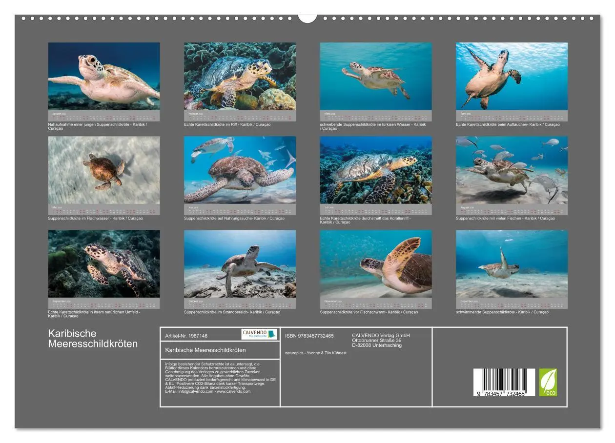 Bild: 9783457732465 | Karibische Meeresschildkröten (hochwertiger Premium Wandkalender...