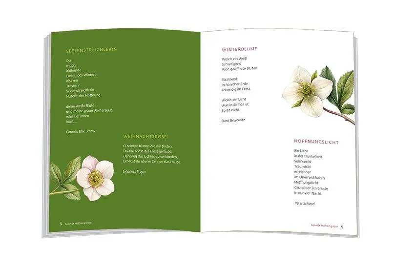 Bild: 9783987002465 | Es blüht eine Rose zur Winterzeit | Buch | 64 S. | Deutsch | 2026