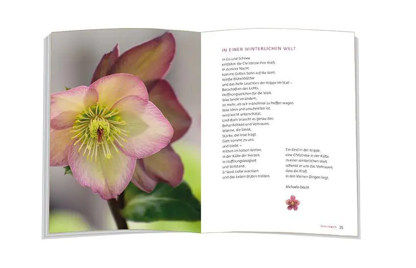 Bild: 9783987002465 | Es blüht eine Rose zur Winterzeit | Buch | 64 S. | Deutsch | 2026