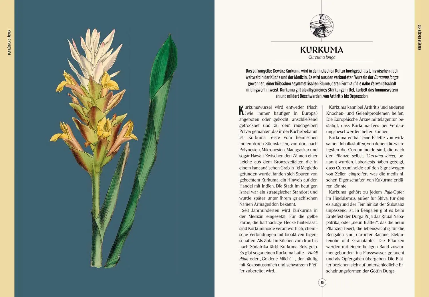 Bild: 9789464992465 | Der Garten des Apothekers | Emma Wayland | Buch | 208 S. | Deutsch