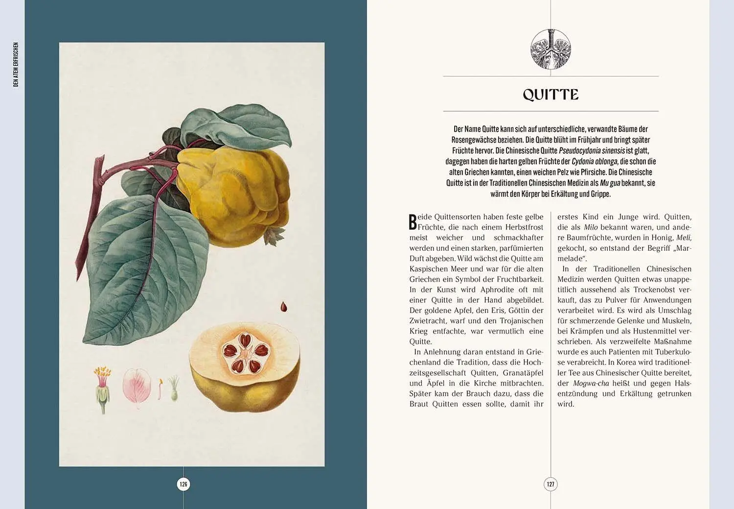 Bild: 9789464992465 | Der Garten des Apothekers | Emma Wayland | Buch | 208 S. | Deutsch
