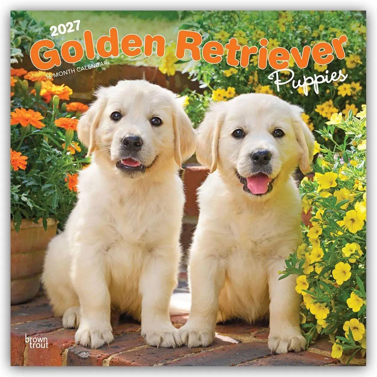 Cover: 9798330712465 | Golden Retriever Puppies - Golden Retriever Welpen 2027 -...
