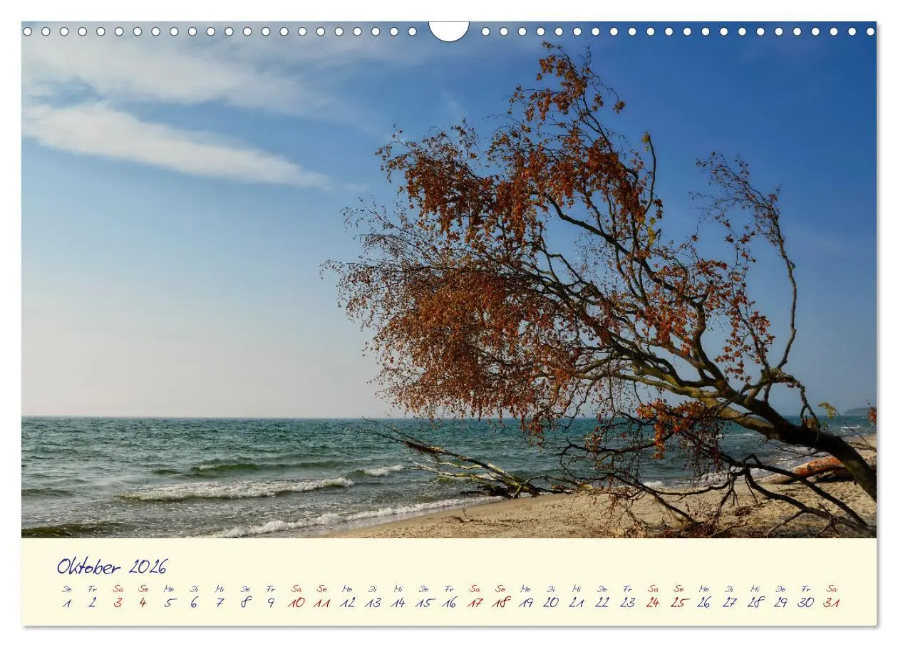 Bild: 9783457412565 | OSTSEEGLÜCK - Glücksmomente auf dem Darß (Wandkalender 2026 DIN A3...