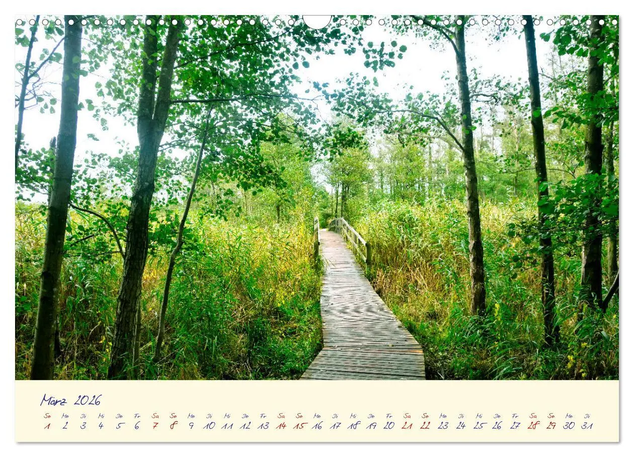 Bild: 9783457412565 | OSTSEEGLÜCK - Glücksmomente auf dem Darß (Wandkalender 2026 DIN A3...