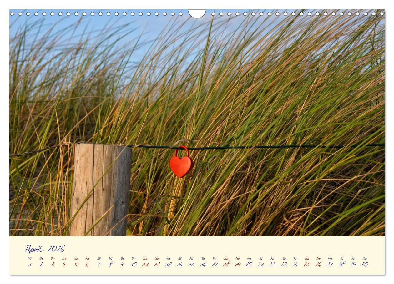 Bild: 9783457412565 | OSTSEEGLÜCK - Glücksmomente auf dem Darß (Wandkalender 2026 DIN A3...