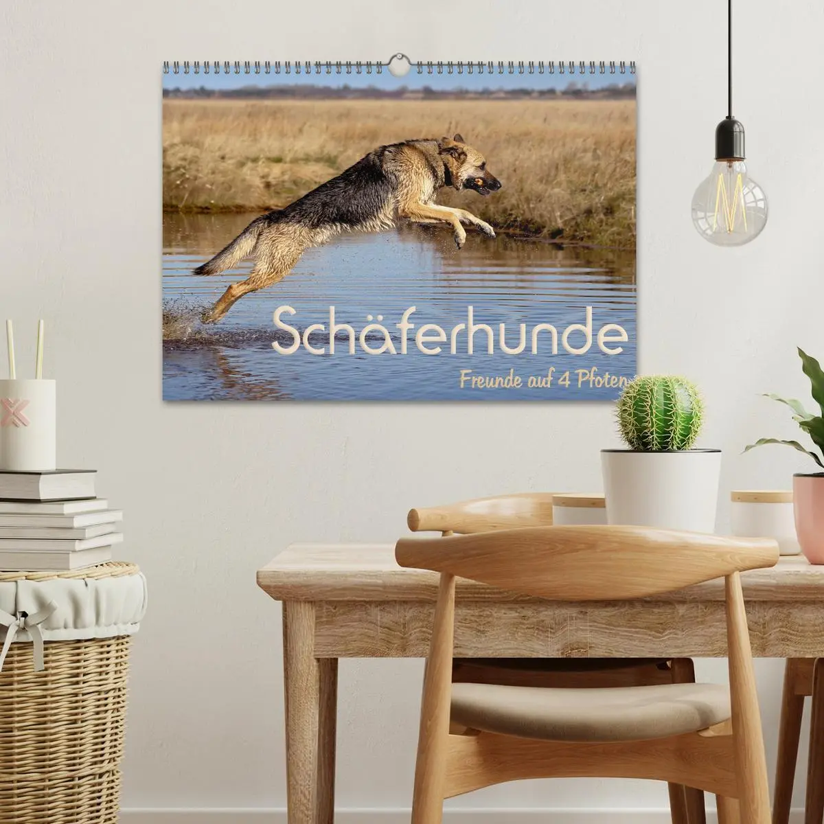 Bild: 9783457892565 | Schäferhunde - Freunde auf 4 Pfoten (Wandkalender 2026 DIN A3...