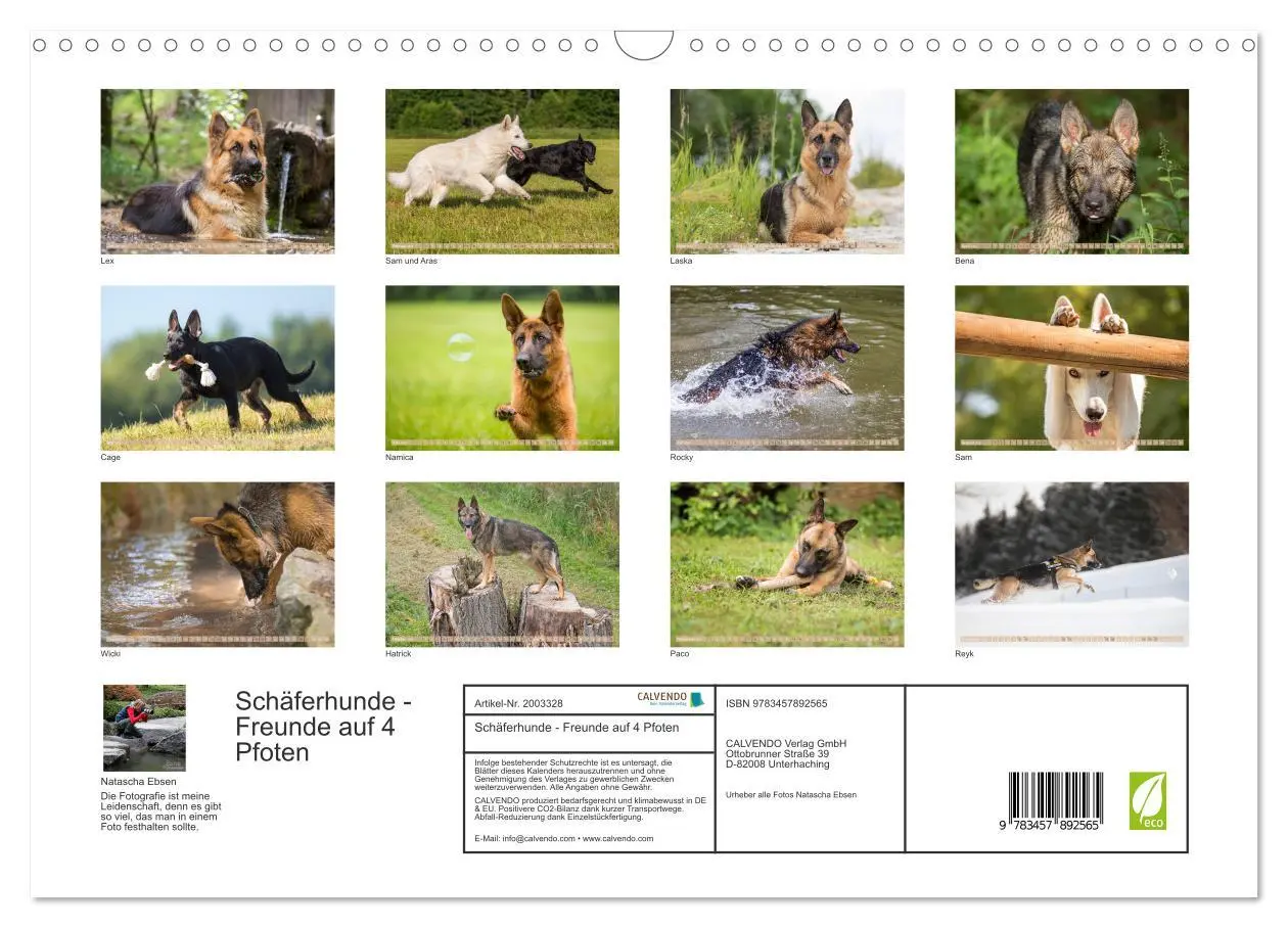 Bild: 9783457892565 | Schäferhunde - Freunde auf 4 Pfoten (Wandkalender 2026 DIN A3...