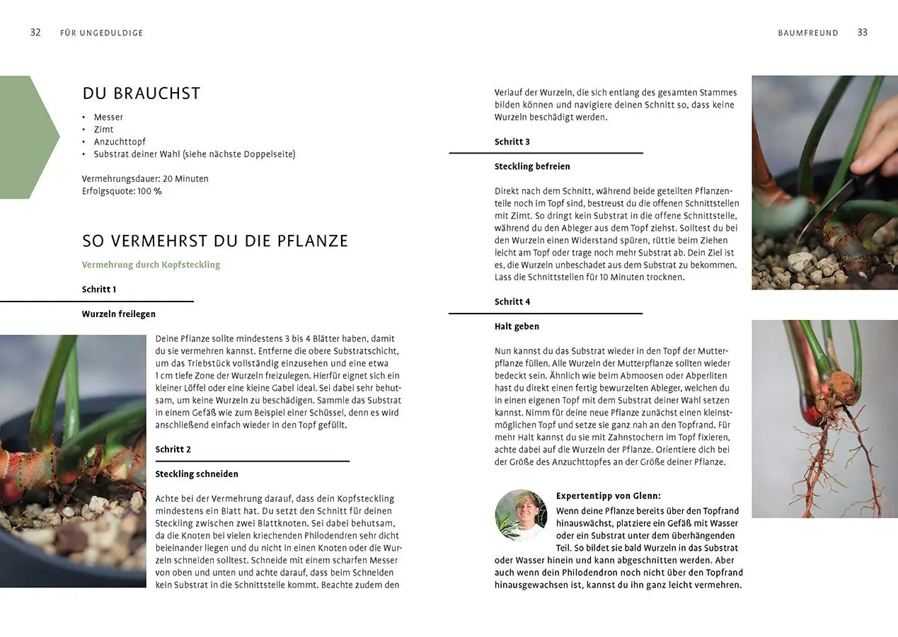 Bild: 9783818622565 | Grow your Jungle | Annabelle Cummerow (u. a.) | Buch | 160 S. | 2024