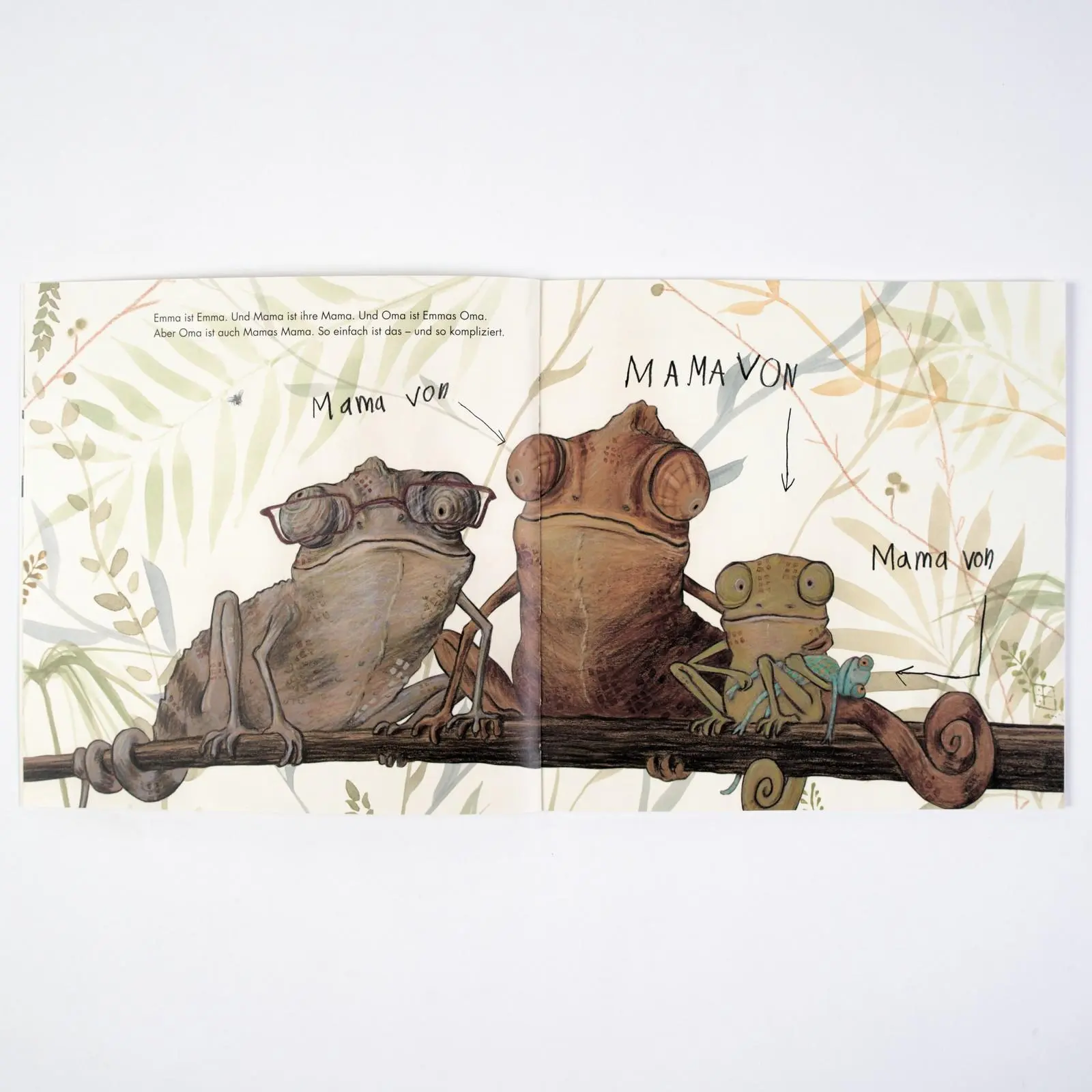 Bild: 9783407762665 | Oma. Emma. Mama | Vierfarbiges Bilderbuch | Lorenz Pauli | Taschenbuch