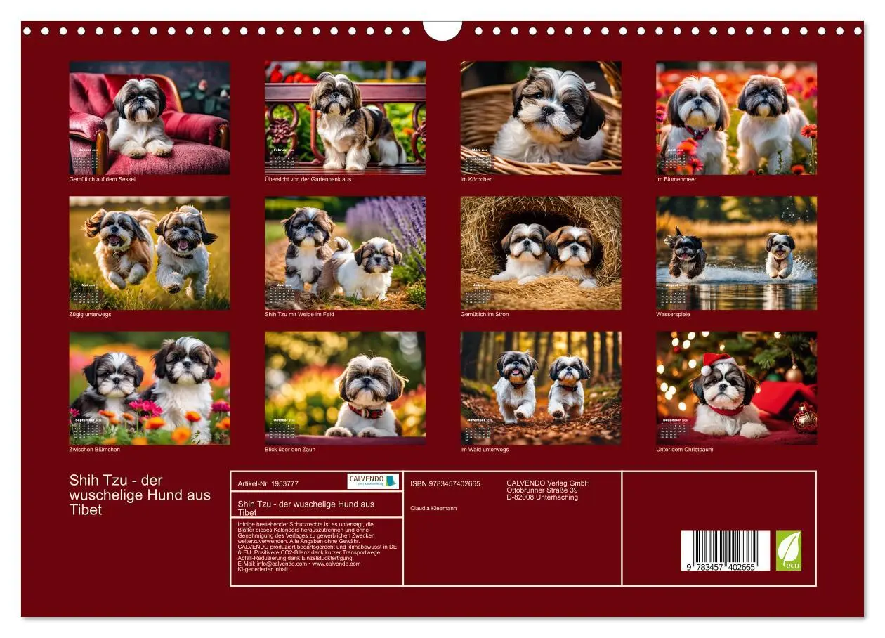 Bild: 9783457402665 | Shih Tzu - der wuschelige Hund aus Tibet (Wandkalender 2026 DIN A3...