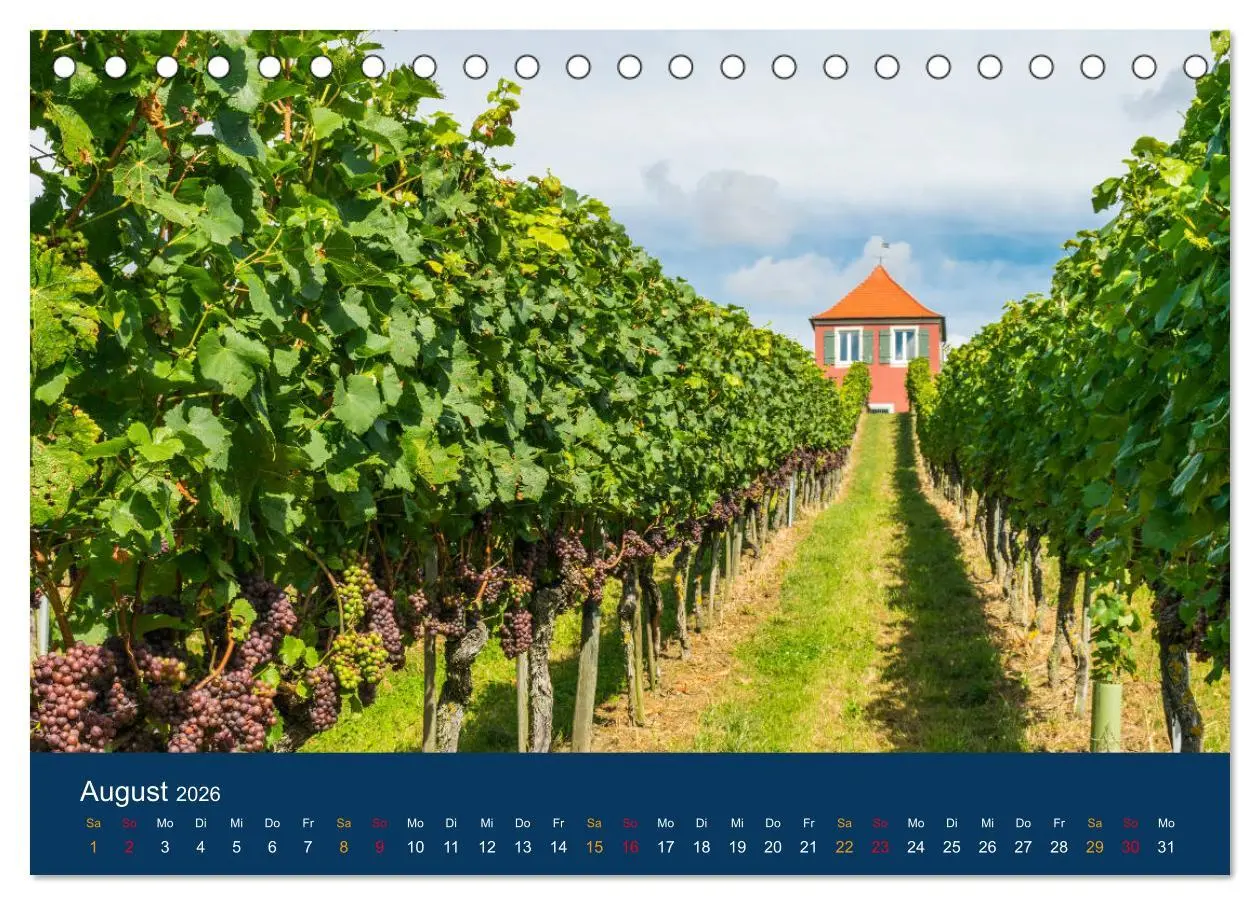 Bild: 9783457882665 | Ansichten vom Bodensee (Tischkalender 2026 DIN A5 quer), CALVENDO...