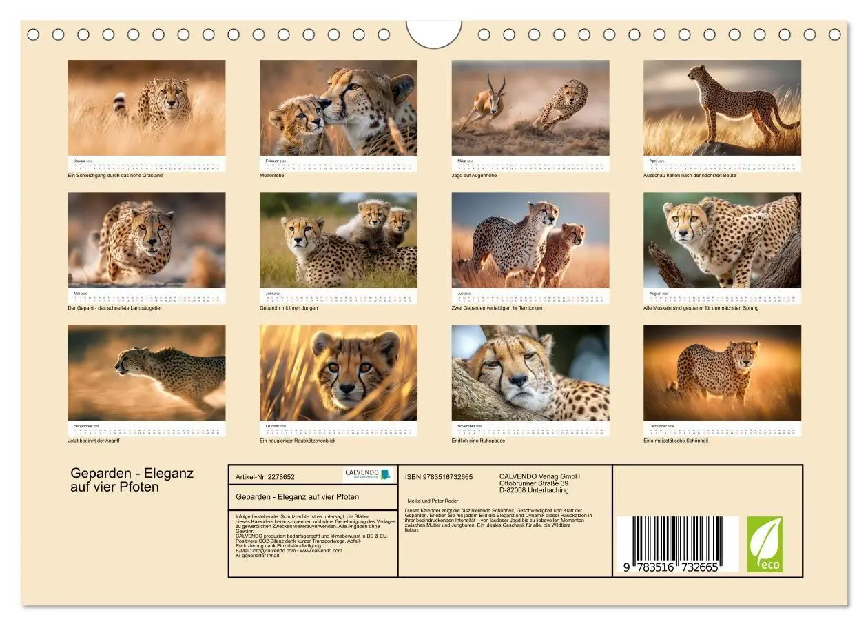 Bild: 9783516732665 | Geparden - Eleganz auf vier Pfoten (Wandkalender 2026 DIN A4 quer),...