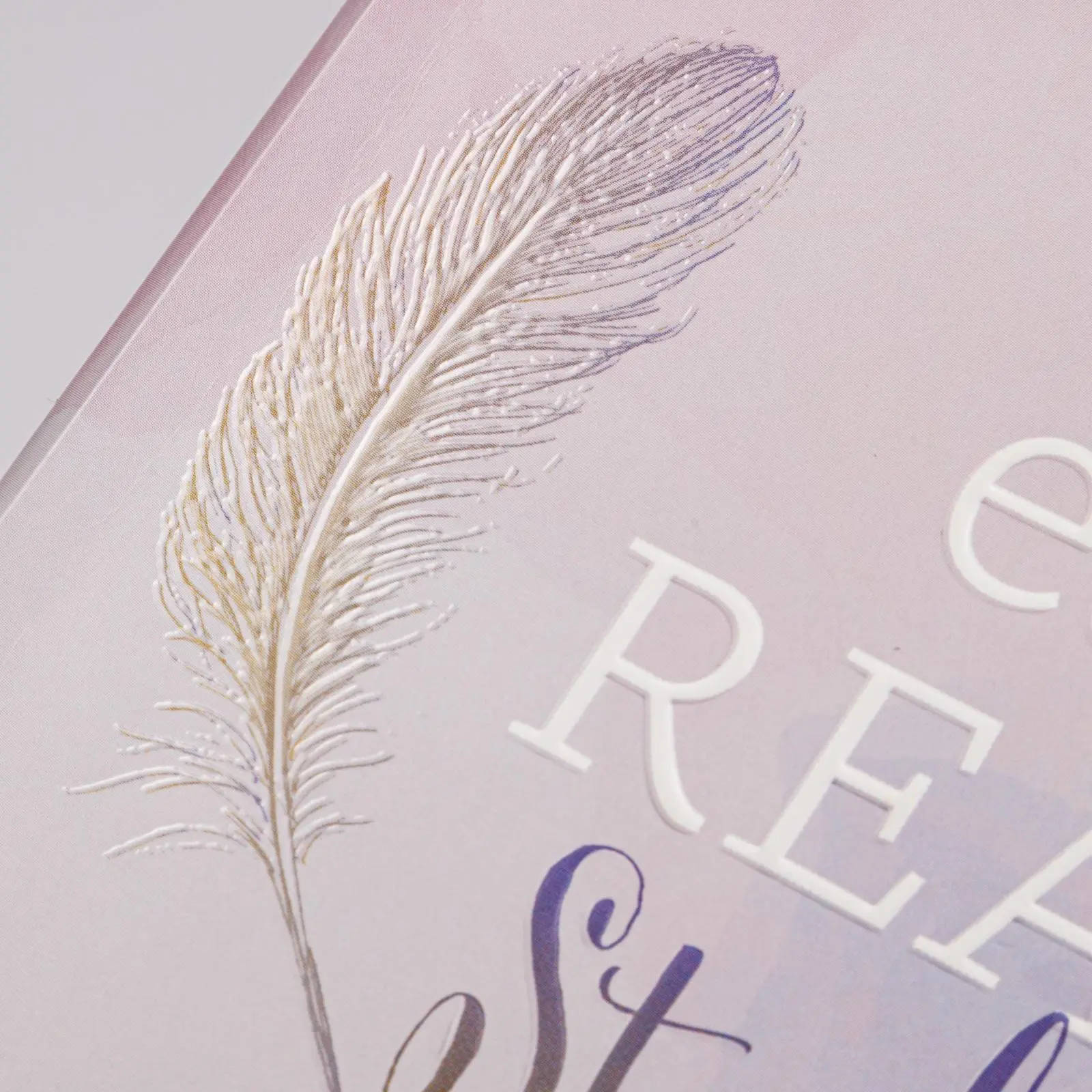 Bild: 9783830322665 | Eat Read Study Repeat | CARLSEN Verlag (Hg. | Kalender | 224 S. | 2026