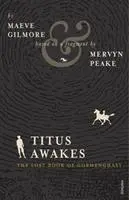 Cover: 9780099552765 | Titus Awakes | The Lost Book of Gormenghast | Maeve Gilmore (u. a.)