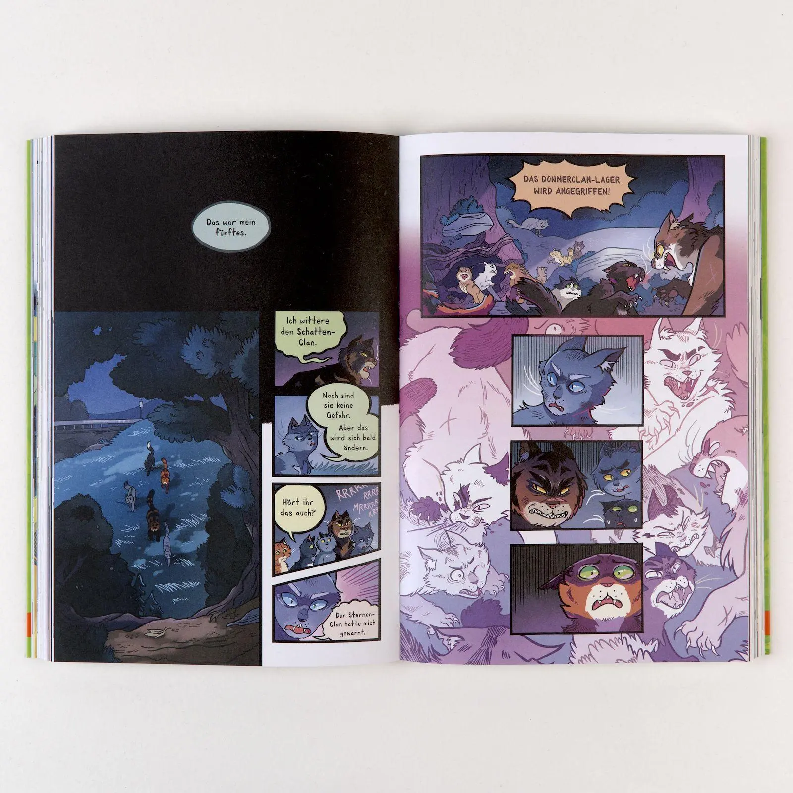 Bild: 9783407752765 | Warrior Cats - Die Prophezeiungen beginnen | Graphic Novel 1. | Hunter