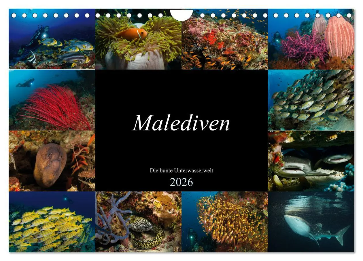 Cover: 9783457872765 | Malediven - Die bunte Unterwasserwelt (Wandkalender 2026 DIN A4...
