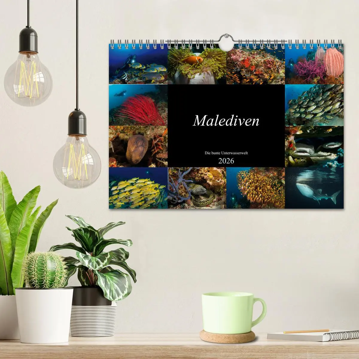 Bild: 9783457872765 | Malediven - Die bunte Unterwasserwelt (Wandkalender 2026 DIN A4...