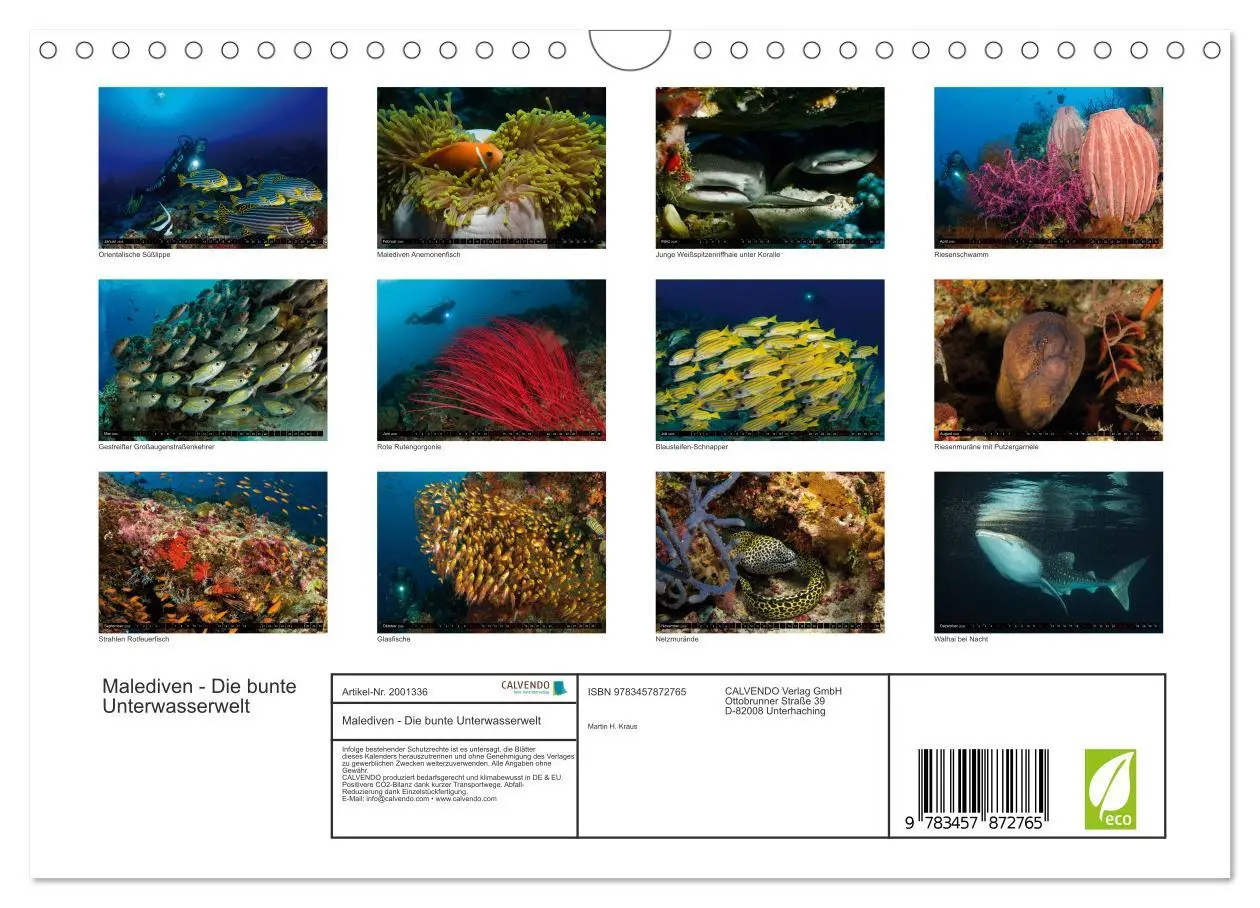 Bild: 9783457872765 | Malediven - Die bunte Unterwasserwelt (Wandkalender 2026 DIN A4...