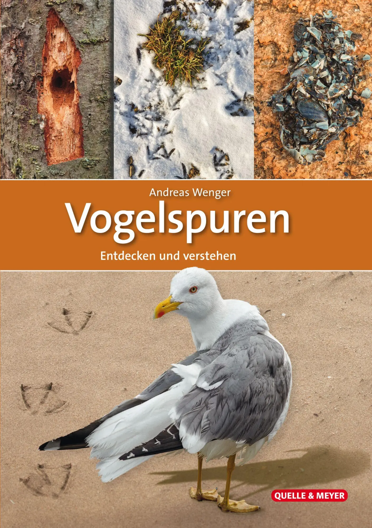 Cover: 9783494022765 | Vogelspuren | Entdecken und verstehen | Andreas Wenger | Taschenbuch