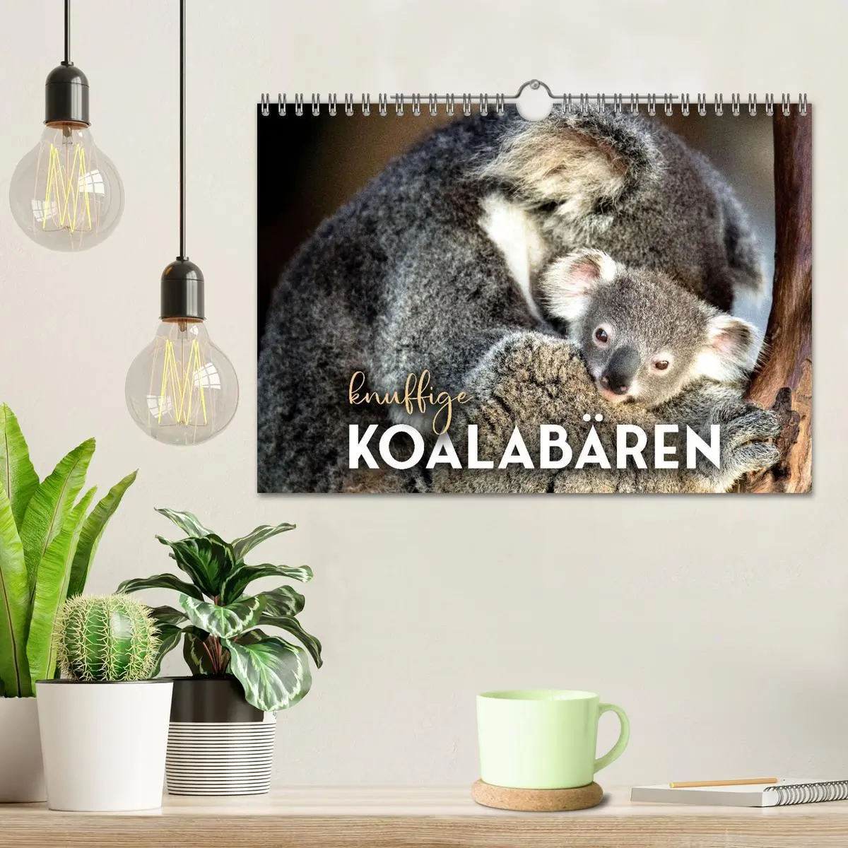 Bild: 9783457552865 | Knuffige Koalabären (Wandkalender 2026 DIN A4 quer), CALVENDO...