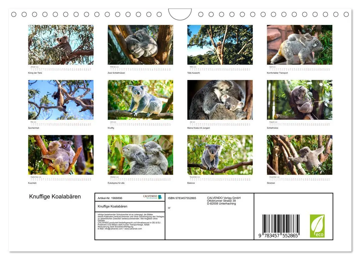 Bild: 9783457552865 | Knuffige Koalabären (Wandkalender 2026 DIN A4 quer), CALVENDO...