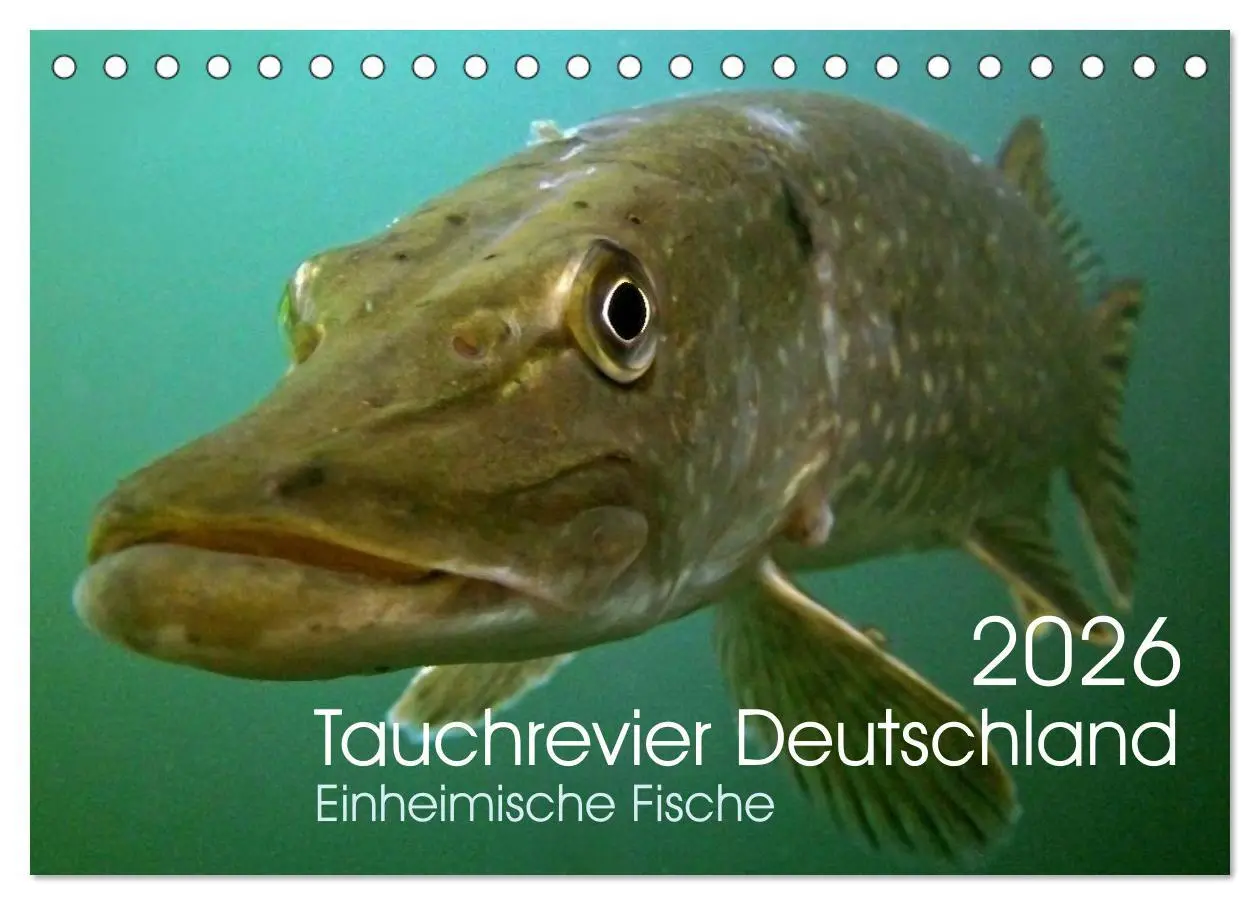 Cover: 9783516022865 | Tauchrevier Deutschland (Tischkalender 2026 DIN A5 quer), CALVENDO...