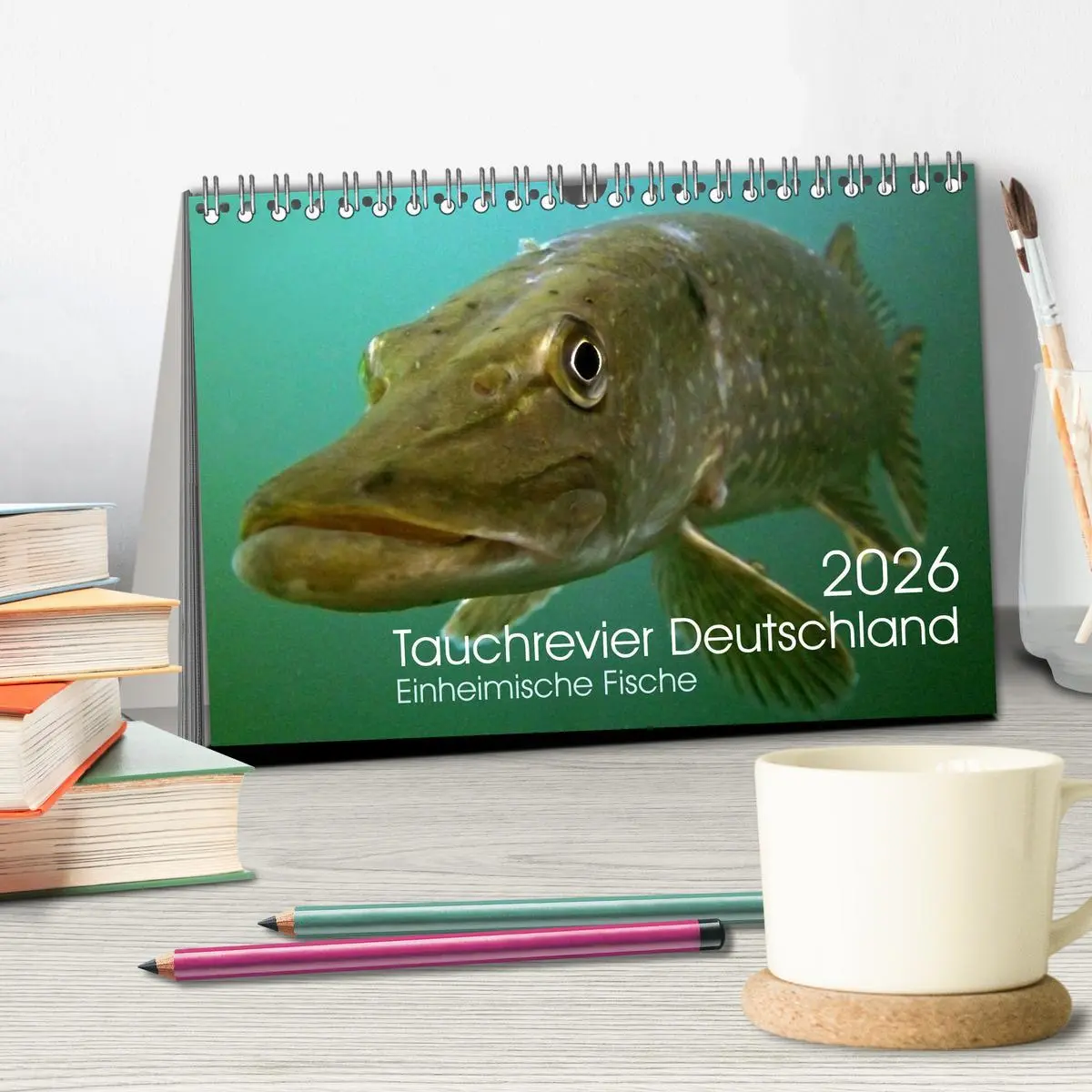Bild: 9783516022865 | Tauchrevier Deutschland (Tischkalender 2026 DIN A5 quer), CALVENDO...