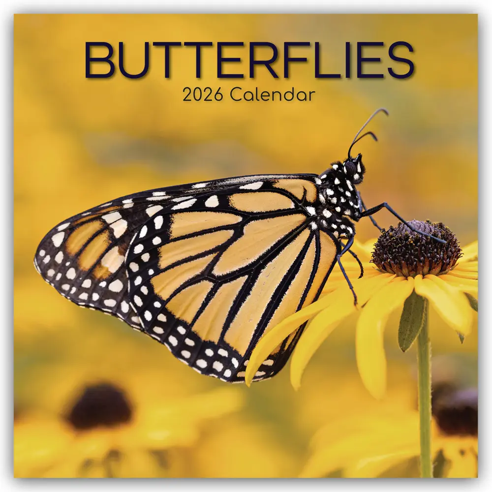 Cover: 9781836222965 | Butterflies - Schmetterlinge 2026 - 16-Monatskalender | Ltd | Kalender
