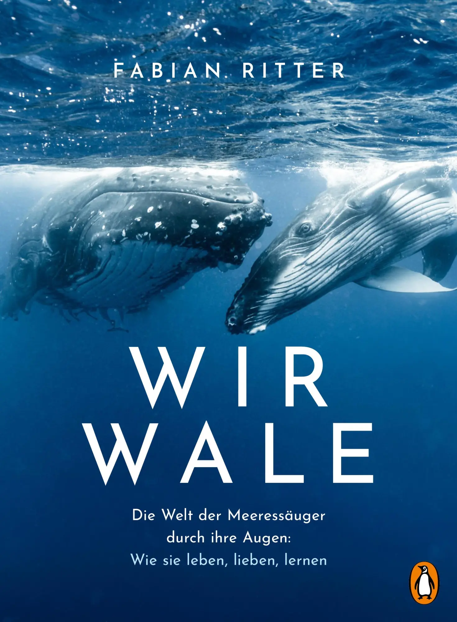 Cover: 9783328602965 | Wir Wale | Fabian Ritter | Buch | 400 S. | Deutsch | 2025