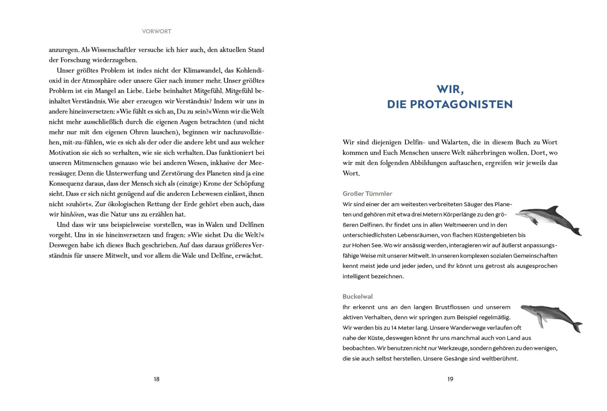 Bild: 9783328602965 | Wir Wale | Fabian Ritter | Buch | 400 S. | Deutsch | 2025