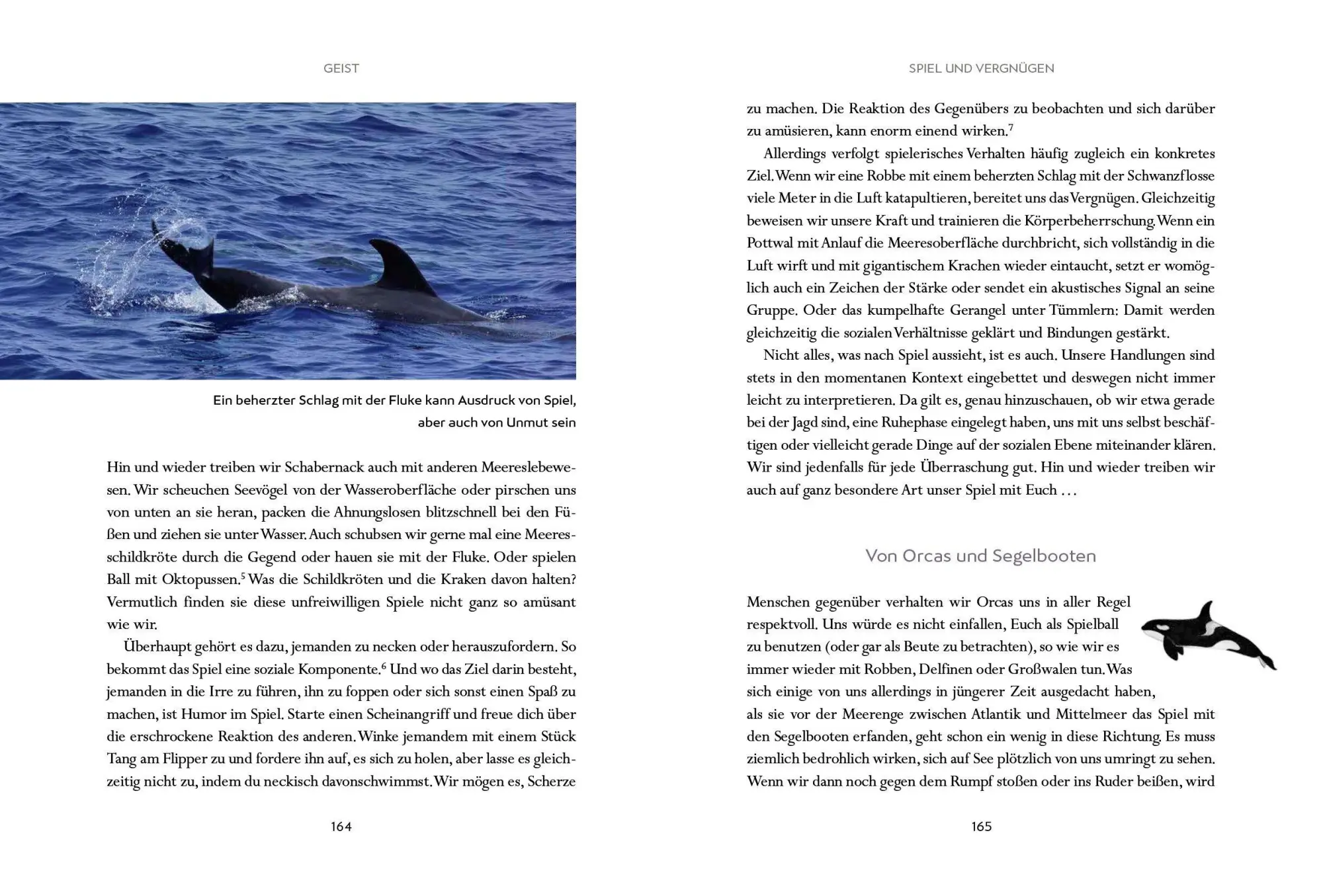 Bild: 9783328602965 | Wir Wale | Fabian Ritter | Buch | 400 S. | Deutsch | 2025