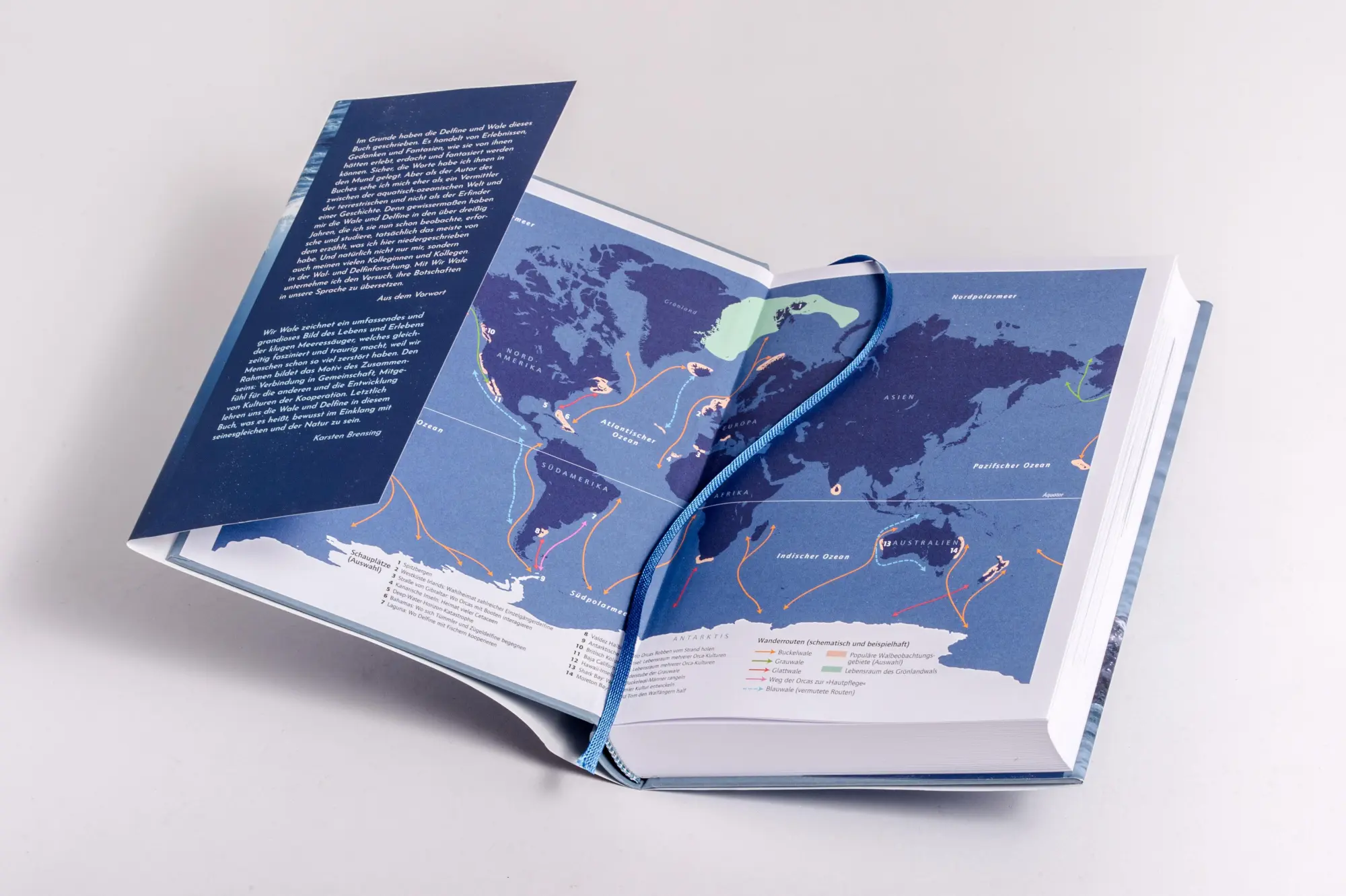 Bild: 9783328602965 | Wir Wale | Fabian Ritter | Buch | 400 S. | Deutsch | 2025
