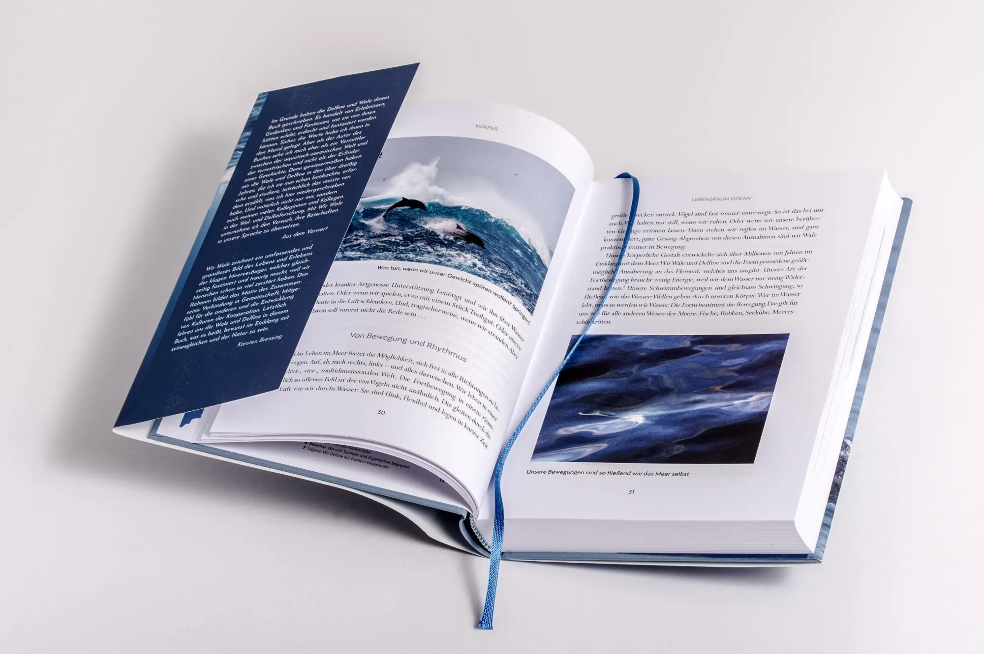 Bild: 9783328602965 | Wir Wale | Fabian Ritter | Buch | 400 S. | Deutsch | 2025