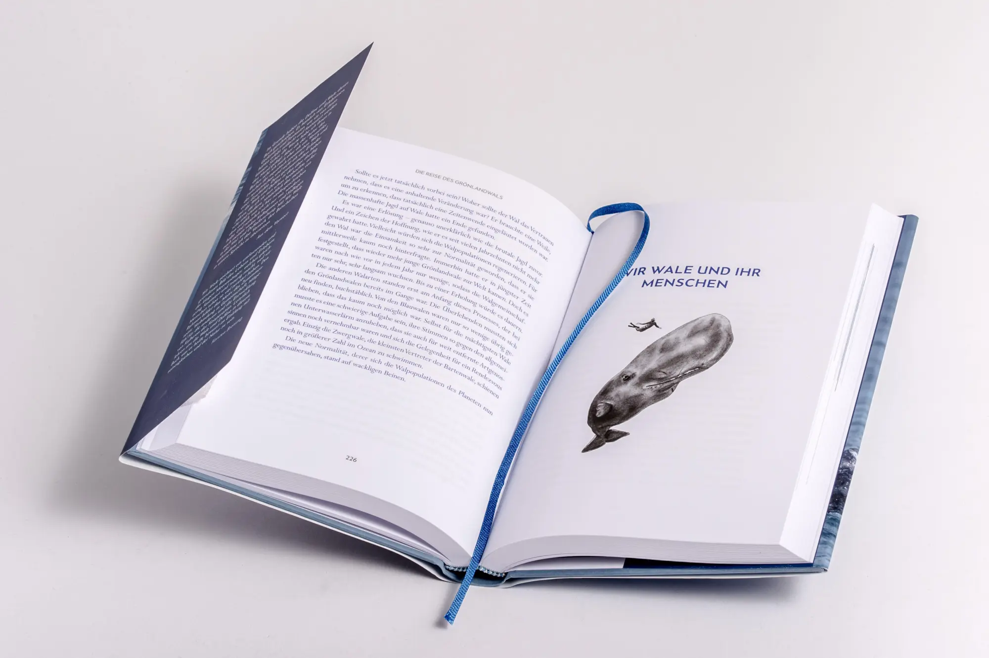 Bild: 9783328602965 | Wir Wale | Fabian Ritter | Buch | 400 S. | Deutsch | 2025