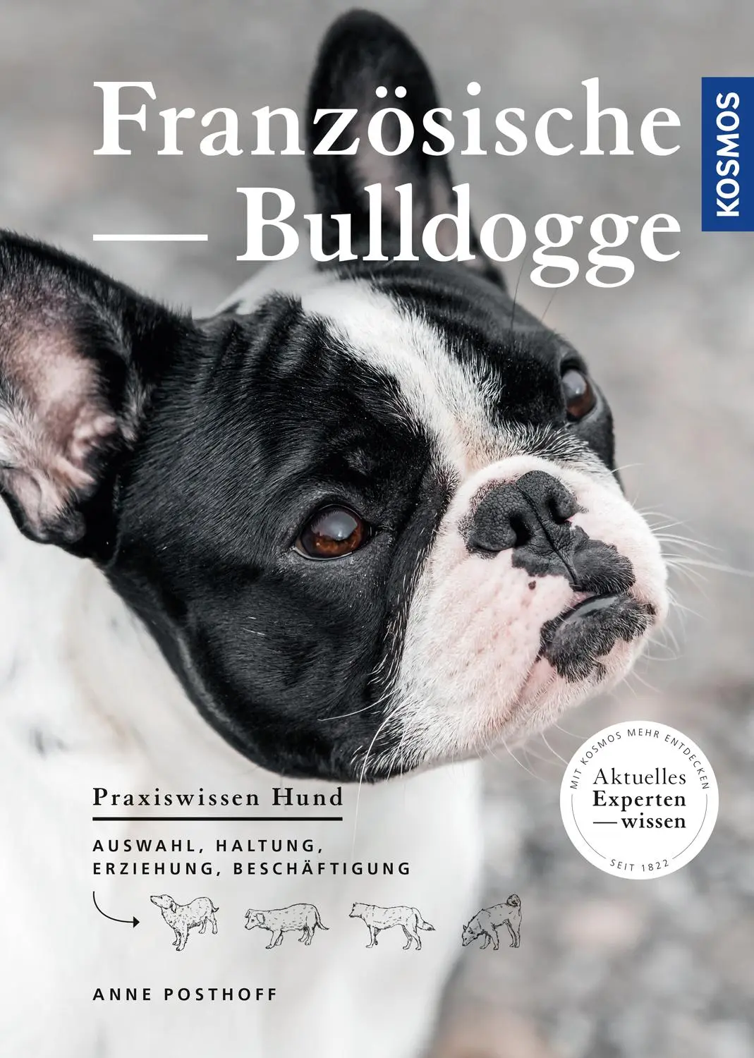 Cover: 9783440162965 | Französische Bulldogge | Anne Posthoff | Taschenbuch | 128 S. | 2019