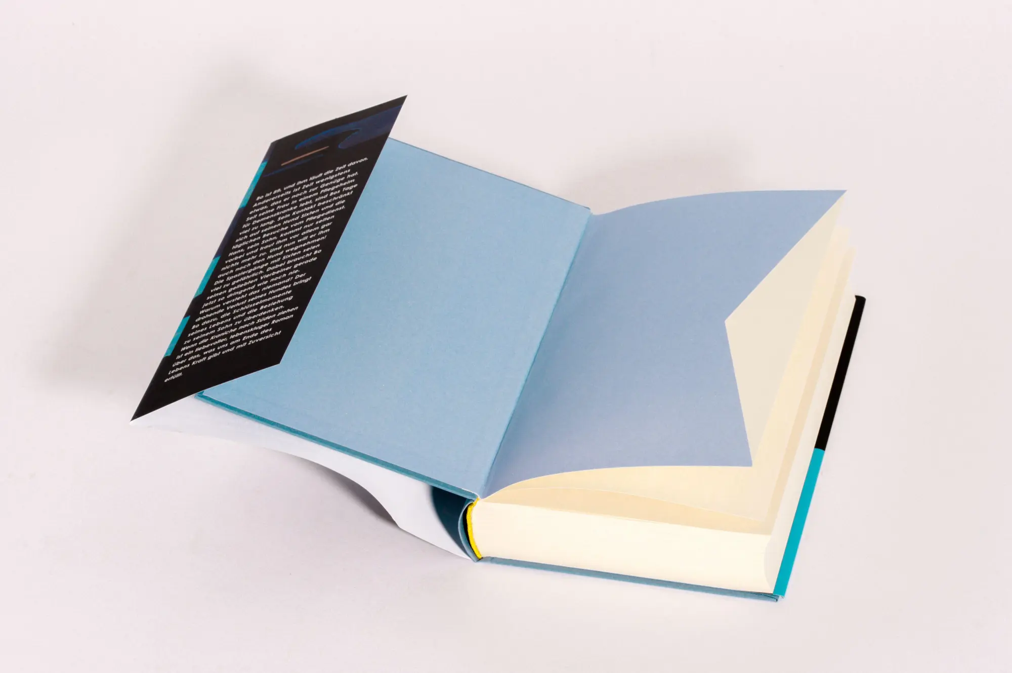 Bild: 9783442762965 | Wenn die Kraniche nach Süden ziehen | Lisa Ridzén | Buch | 384 S.