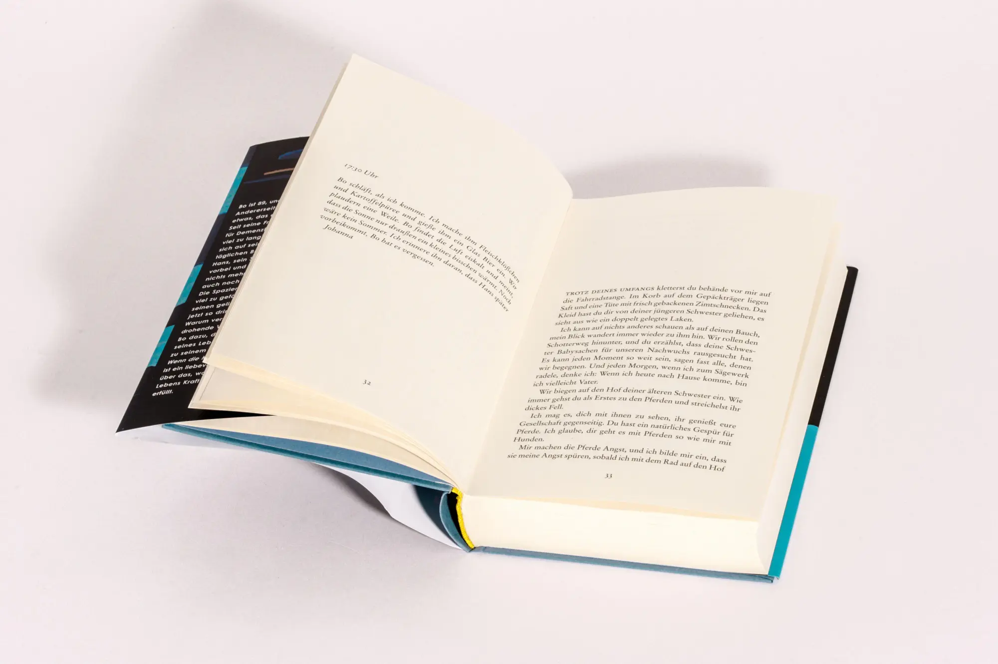 Bild: 9783442762965 | Wenn die Kraniche nach Süden ziehen | Lisa Ridzén | Buch | 384 S.