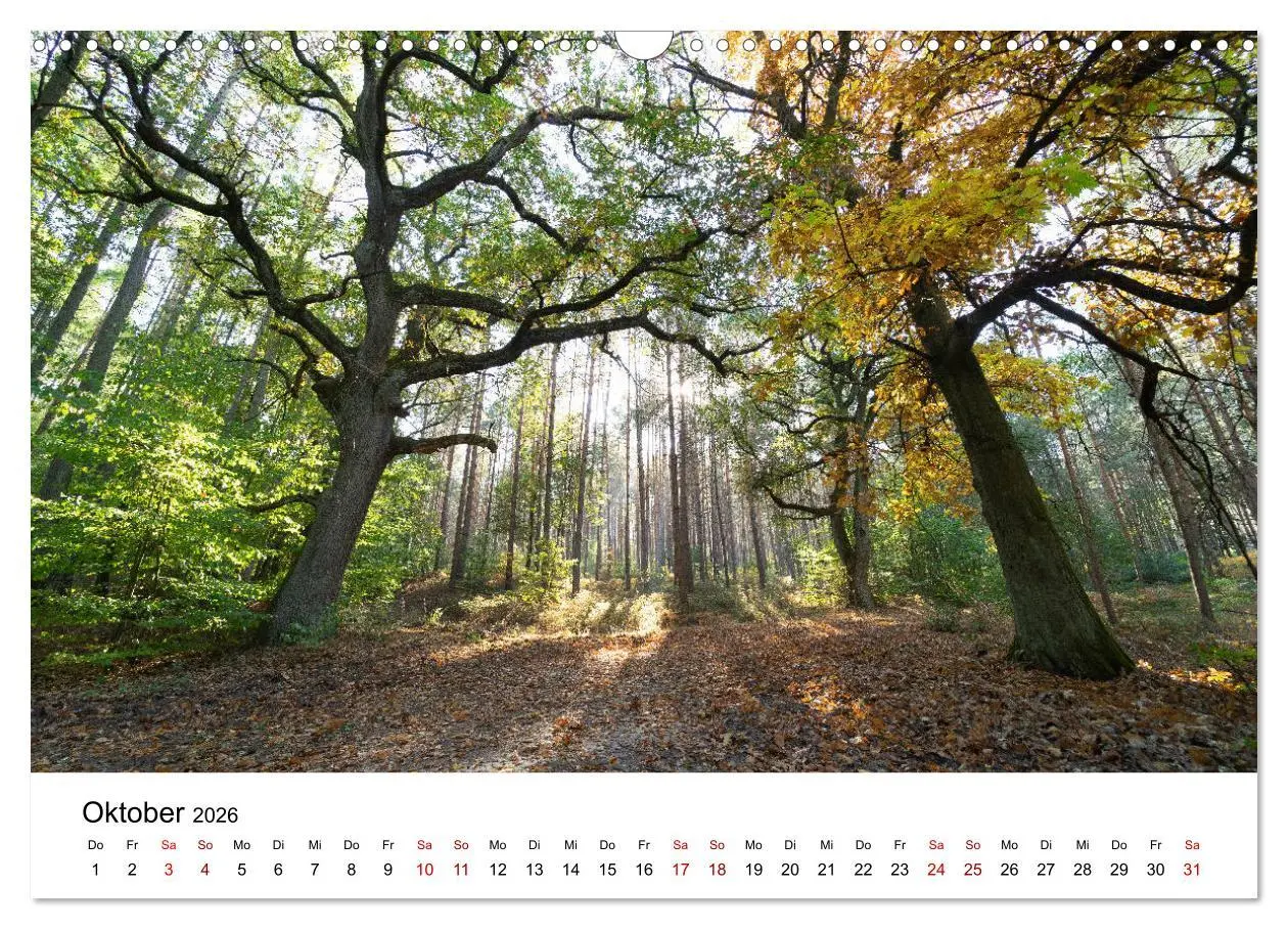 Bild: 9783457922965 | Altmarkliebe (Wandkalender 2026 DIN A3 quer), CALVENDO Monatskalender