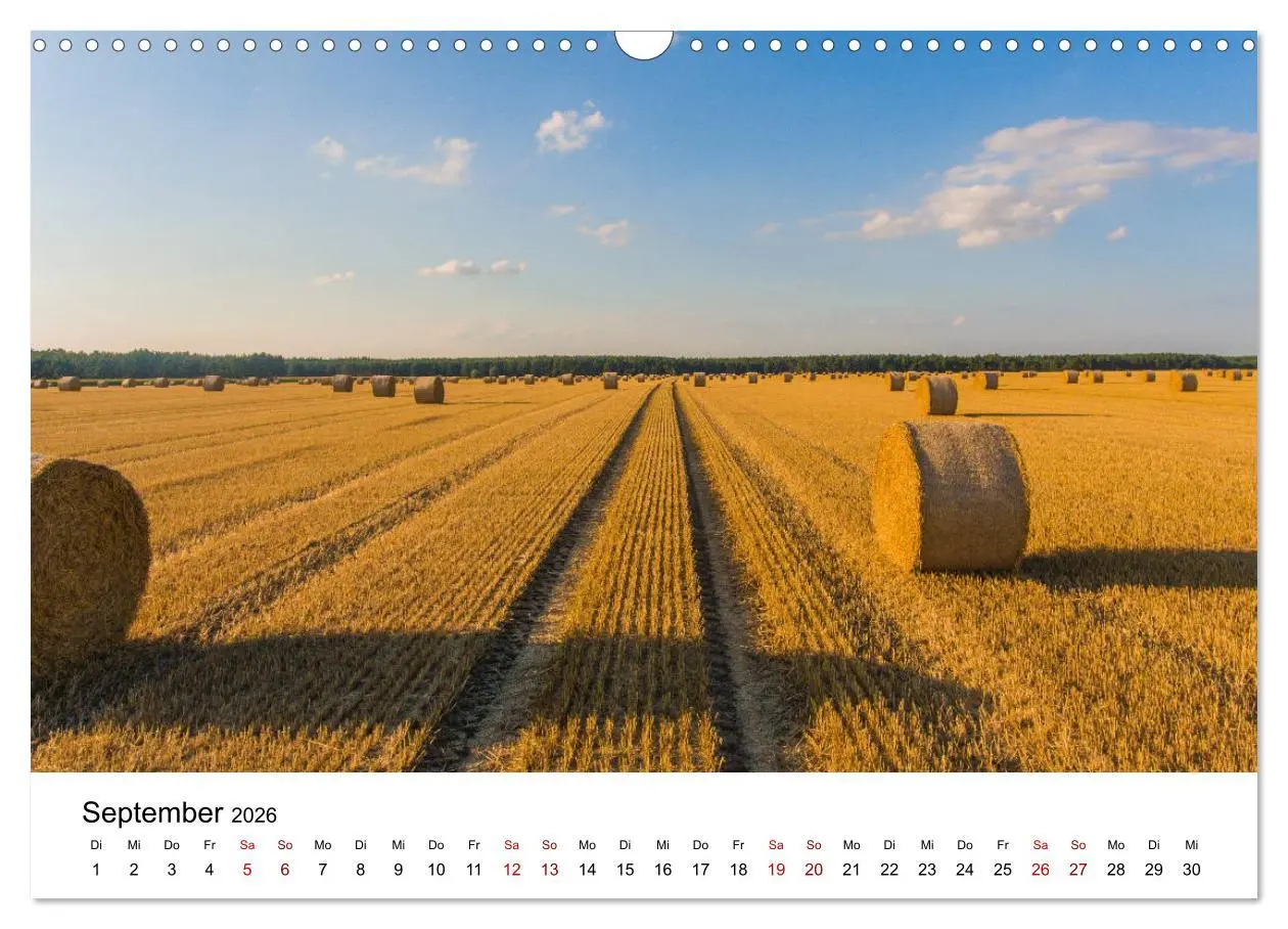 Bild: 9783457922965 | Altmarkliebe (Wandkalender 2026 DIN A3 quer), CALVENDO Monatskalender