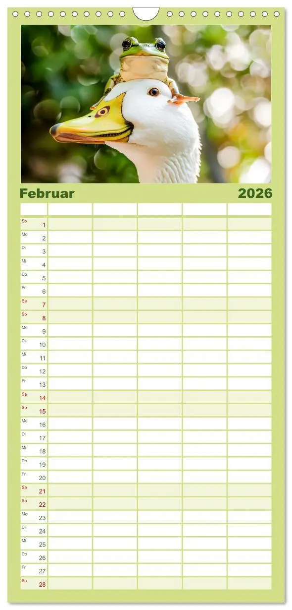 Bild: 9783516492965 | Familienplaner 2026 - Lustige Amphibienbande mit 5 Spalten...