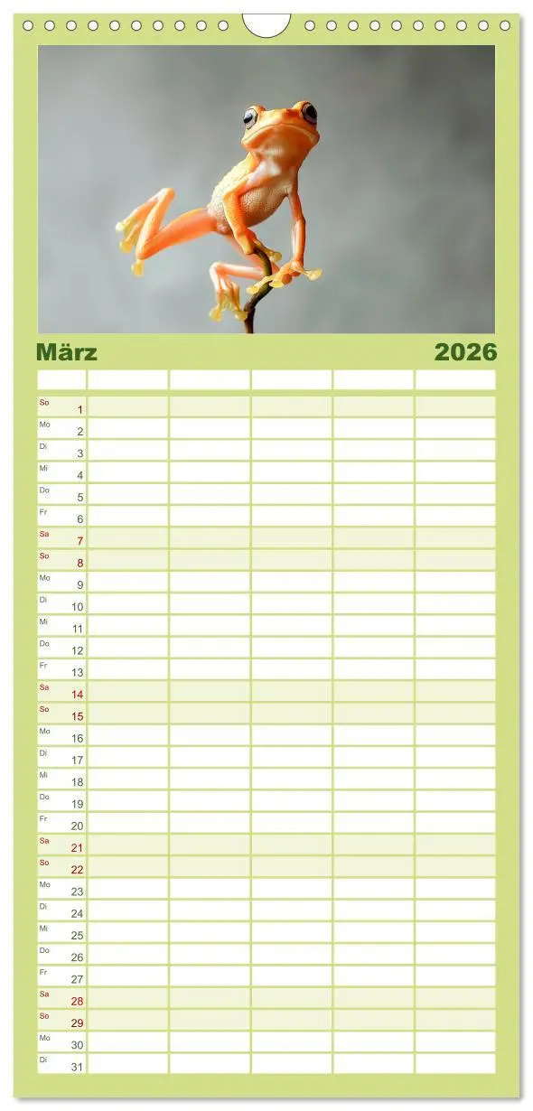 Bild: 9783516492965 | Familienplaner 2026 - Lustige Amphibienbande mit 5 Spalten...