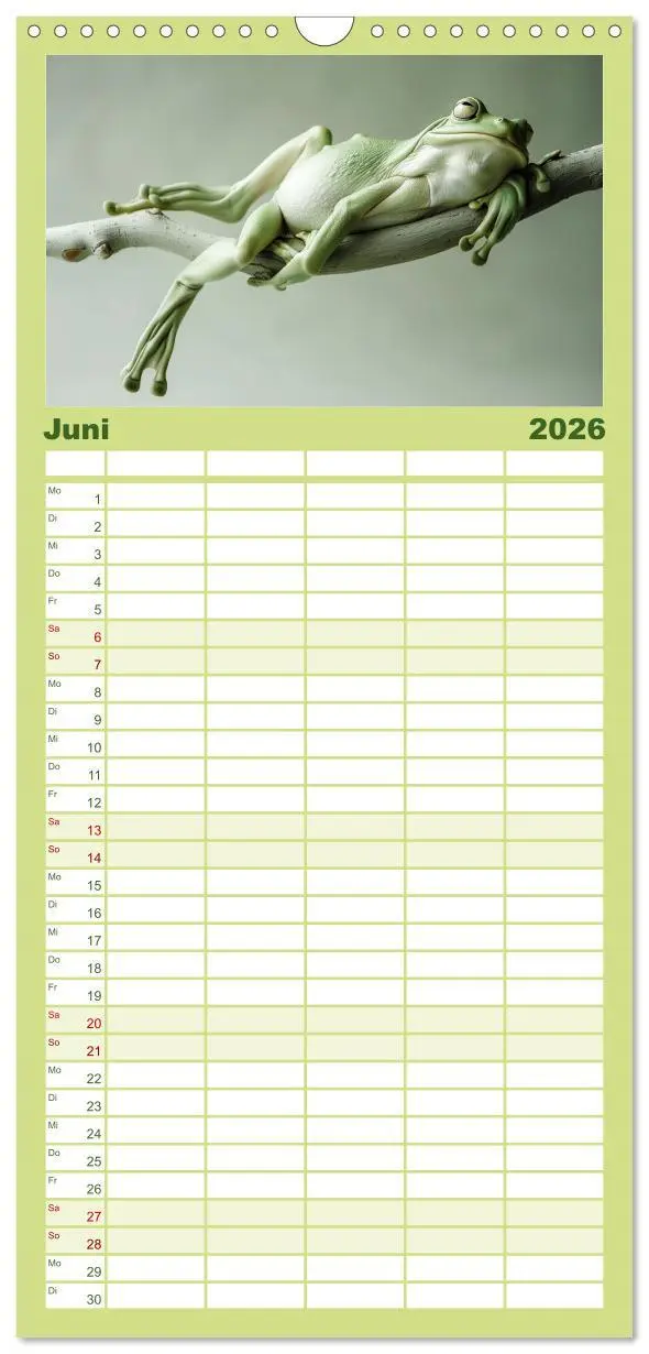 Bild: 9783516492965 | Familienplaner 2026 - Lustige Amphibienbande mit 5 Spalten...