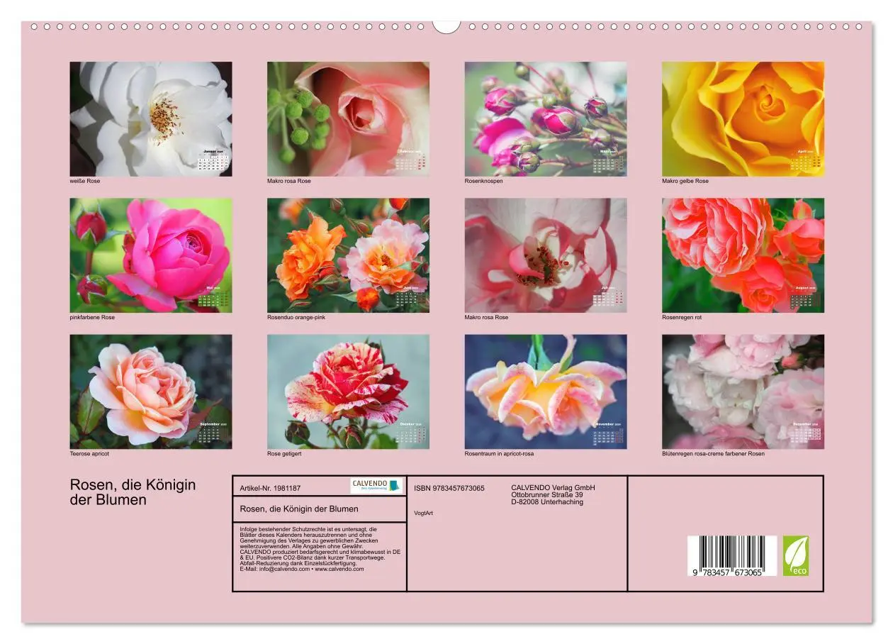 Bild: 9783457673065 | Rosen, die Königin der Blumen (hochwertiger Premium Wandkalender...