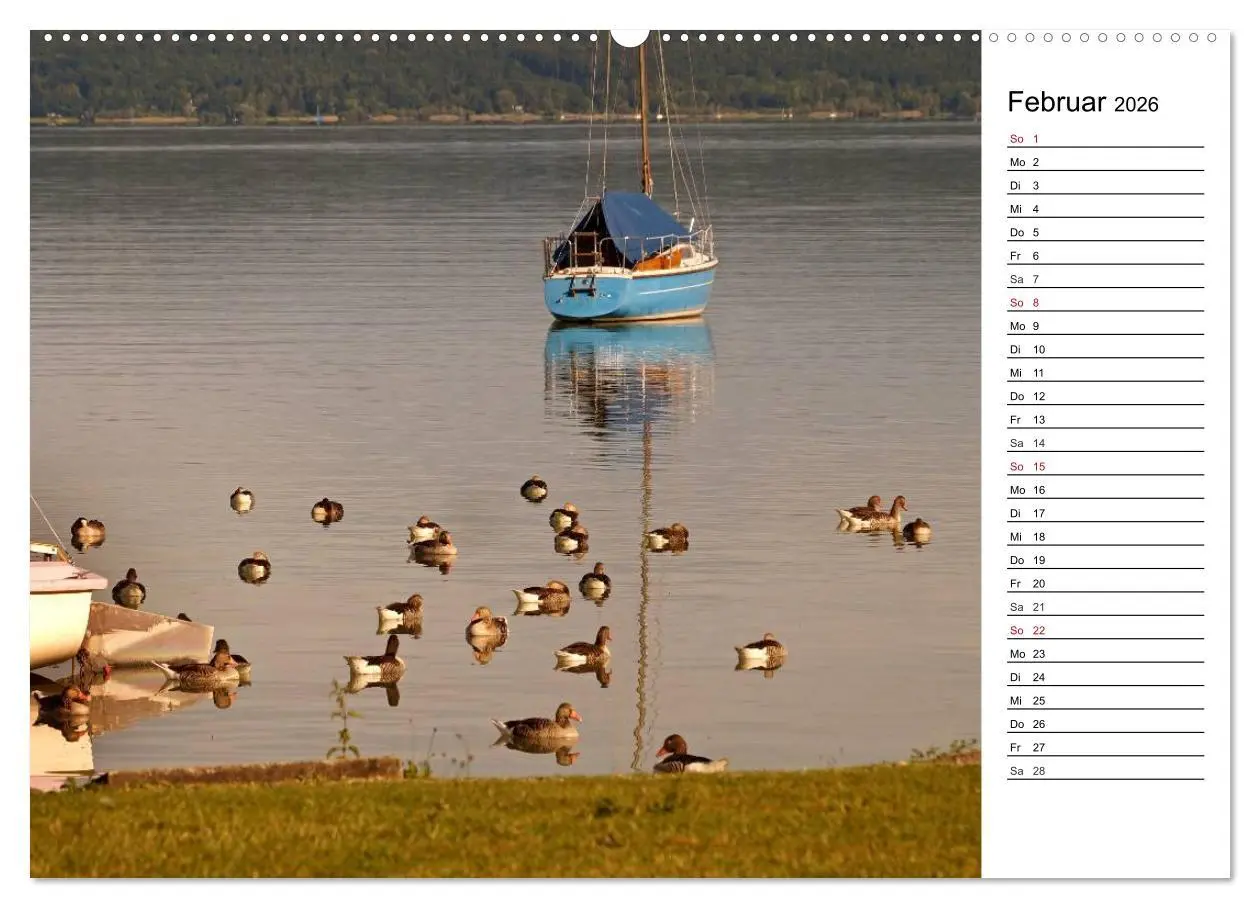Bild: 9783457983065 | Seestärke - Der Ammersee (hochwertiger Premium Wandkalender 2026...