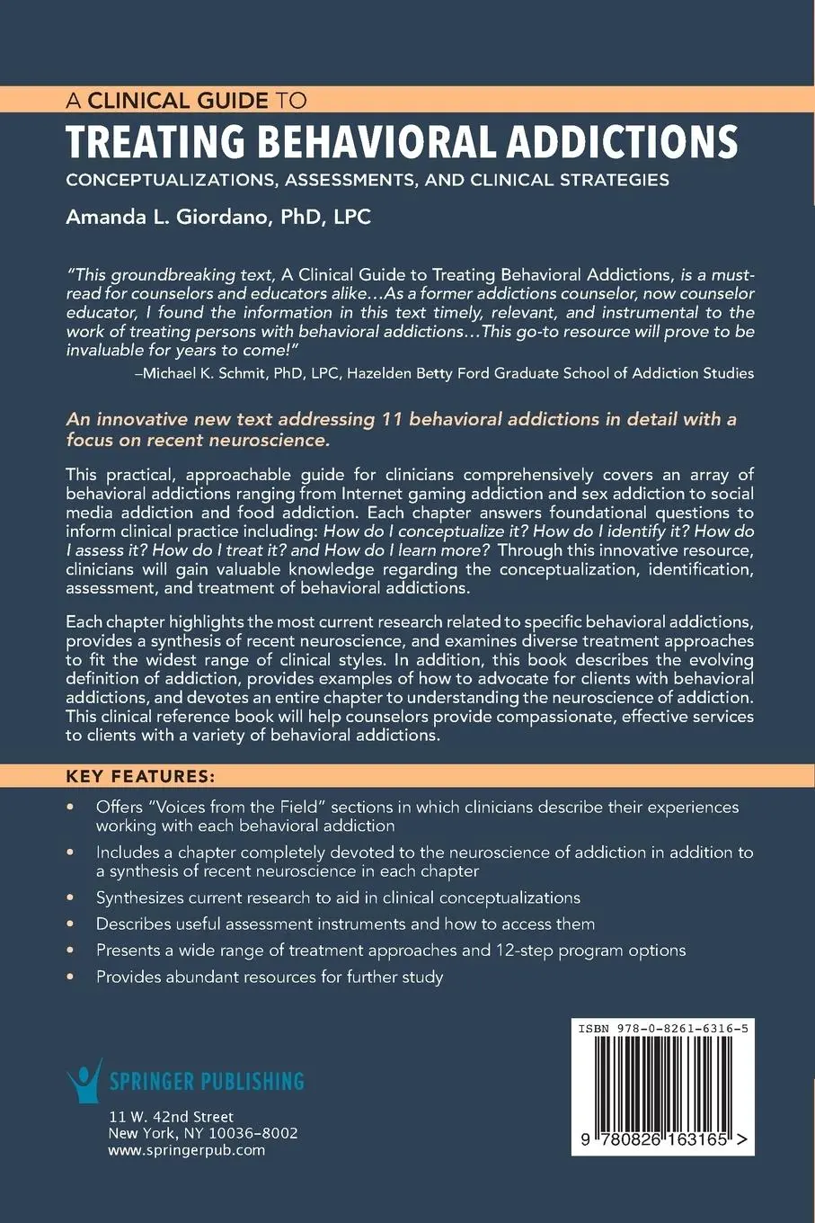 Rückseite: 9780826163165 | A Clinical Guide to Treating Behavioral Addictions | Amanda L Giordano