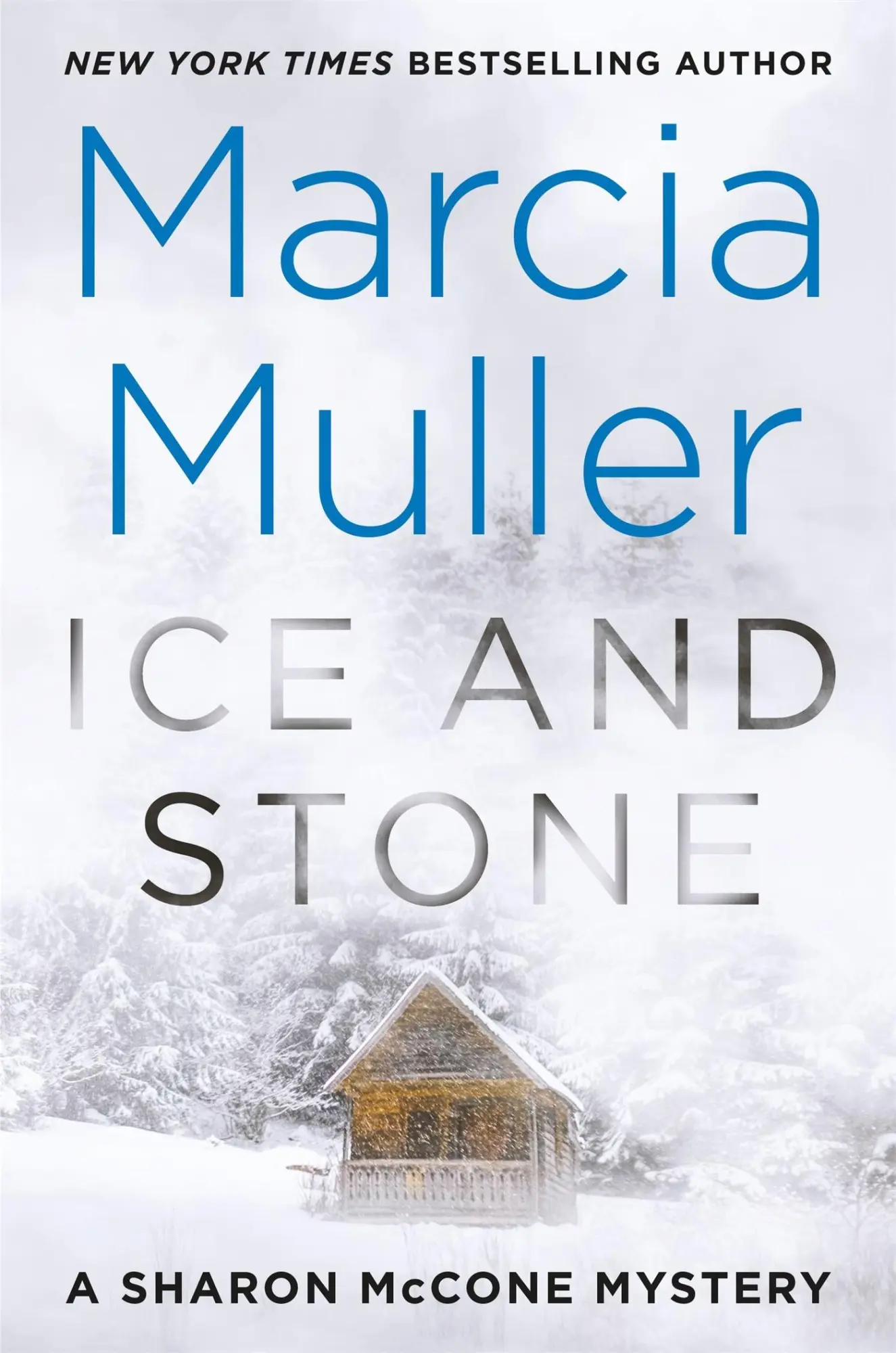Cover: 9781538733165 | Ice and Stone | Marcia Muller | Buch | Gebunden | Englisch | 2021