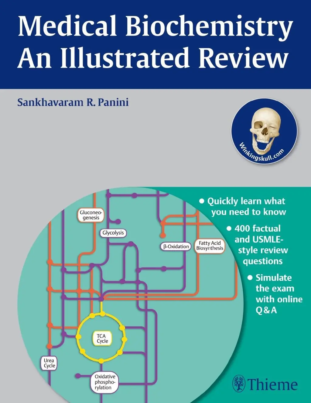 Cover: 9781604063165 | Biochemistry - An Illustrated Review | Thieme Illustrated Reviews