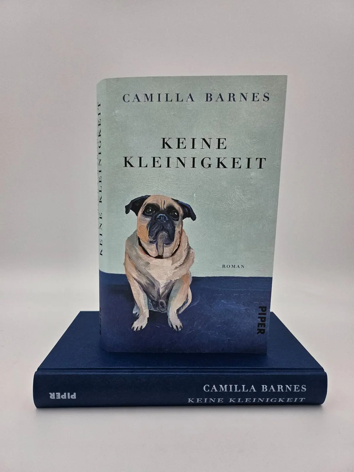 Bild: 9783492073165 | Keine Kleinigkeit | Roman | Camilla Barnes | Buch | 256 S. | Deutsch